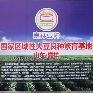 厂区车间