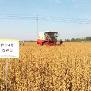 基地展示