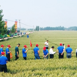 基地展示